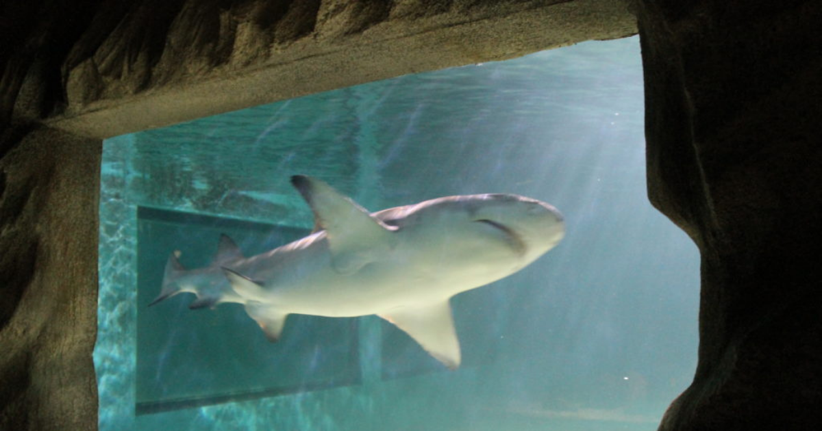 Hotel Portofino foto blog 1200x630 (7)